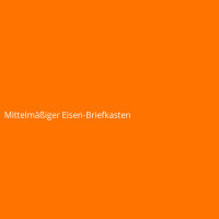 Mittelmäßiger Eisen-Briefkasten