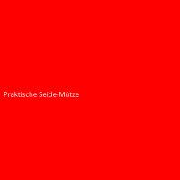 Praktische Seide-Mütze
