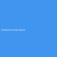 Praktische Seide-Mütze